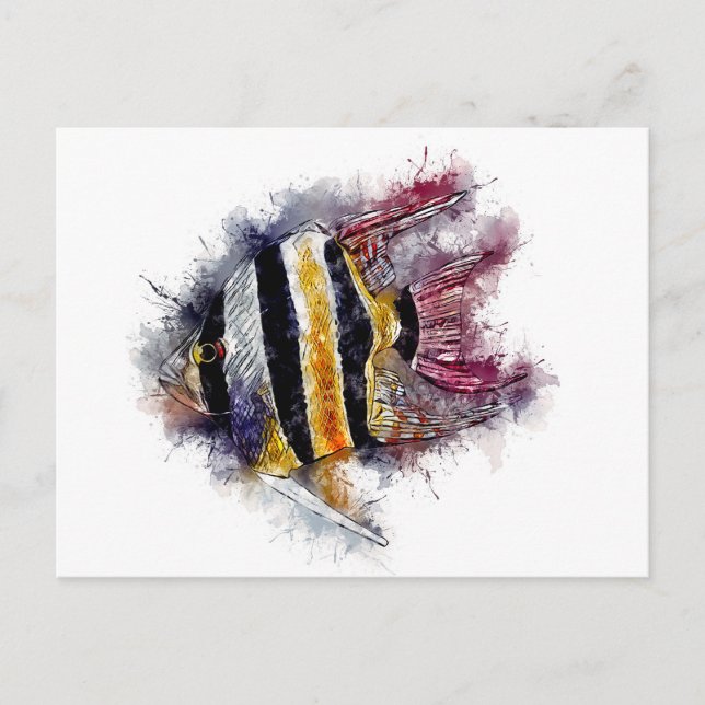 Pterophyllum AngelFisch Aquarium Geschenk Postkarte (Vorderseite)