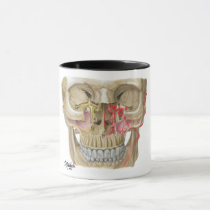 Pterygopalatine Fossa-Tassen-Schuss Tasse