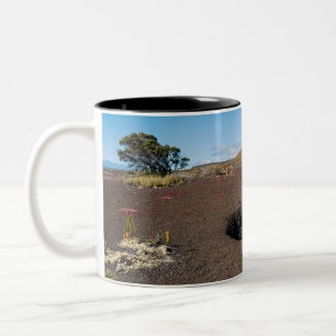 Pu’u pua’i Schlackenkegel entlang des Byron-Felssp Zweifarbige Tasse