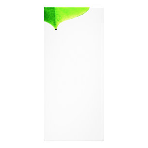 Publicitaire Carte de rack de congé vert