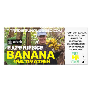 PUBLICITAIRE CARTE DE RAYONNAGE POUR LA CULTURE DE BANANE