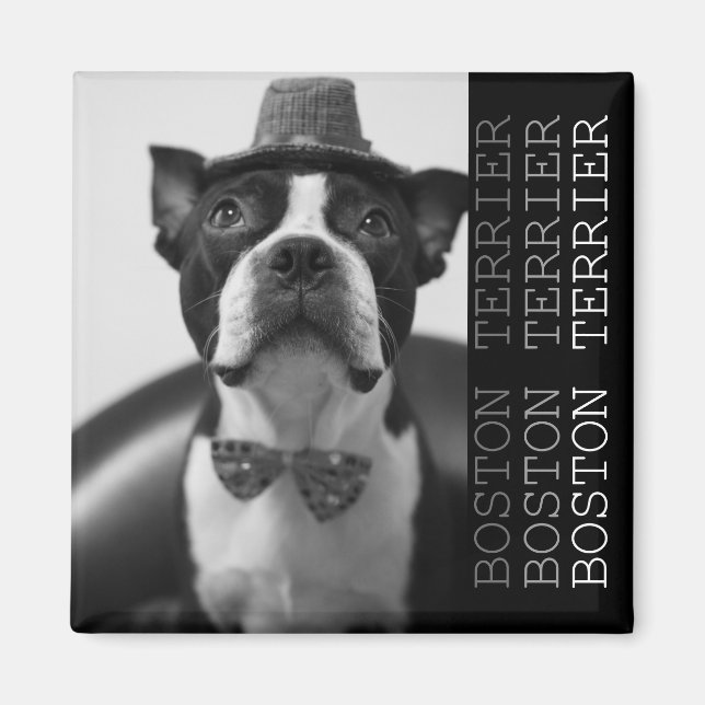 Pucca Magnets B (Devant)