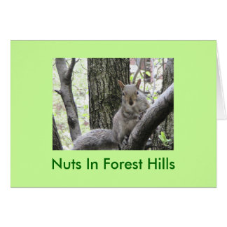 Pucci schlägt eine Pose, Nüsse in Forest Hills