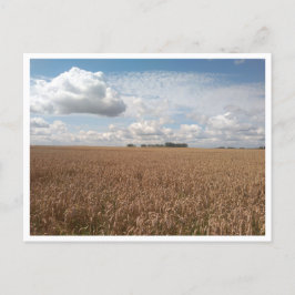 Puck (Polen) Postkarte