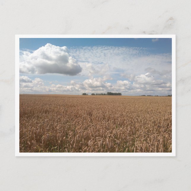 Puck (Polen) Postkarte (Vorderseite)