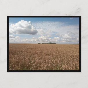 Puck (Polen) Postkarte