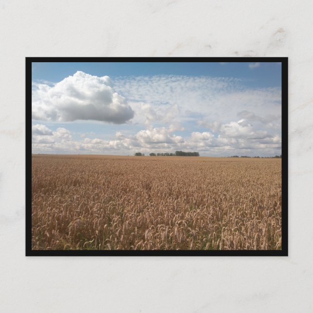 Puck (Polen) Postkarte (Vorderseite)
