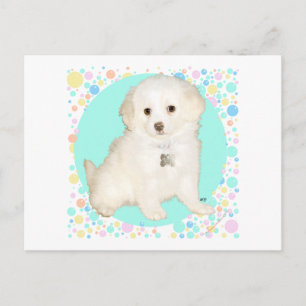 Pudel / Bichon Mischlingswelpe feiert Leben Postkarte