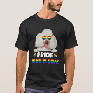 Pudel Gay Pride Hundebesitzer LGBT Lustig Regenbog T-Shirt