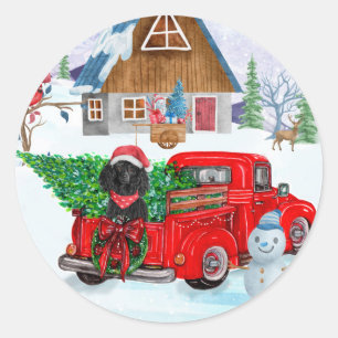 Pudel-Hund im Weihnachtslieferwagen Schnee Runder Aufkleber