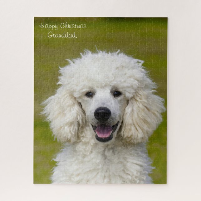 Pudel Hunde. (Vertikal)