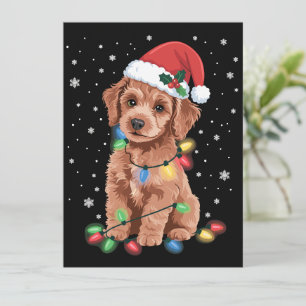 Pudel Hunde Baum Weihnachten Xmas Haustier Tier Hu