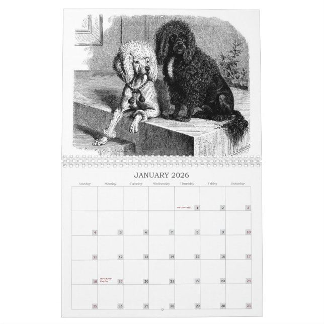 Pudel: Kalender 2011 (Jan 2026)
