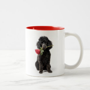 Pudel Liebe Zweifarbige Tasse