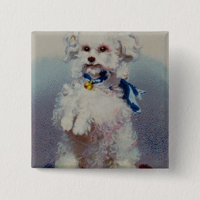 Pudel mit blauem Band Button (Vorderseite)