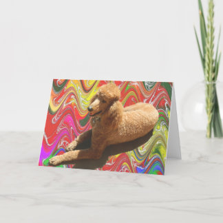 PUDEL MIT WEIHNACHTSsüßigkeits-FARBEN Feiertagskarte