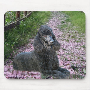 Pudel schwarze Mousepad lila Blumen