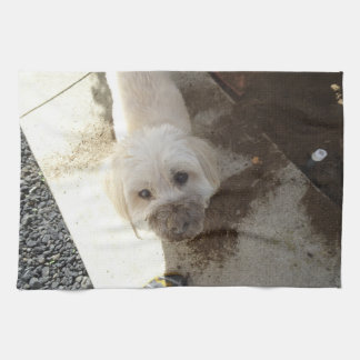 Pudel-Terrier Mischung mit schmutzigem Gesicht Geschirrtuch