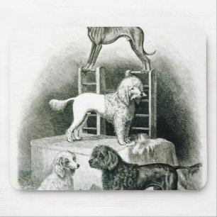 Pudel und Whippet - Gruppe von Herrn Waltons Mousepad