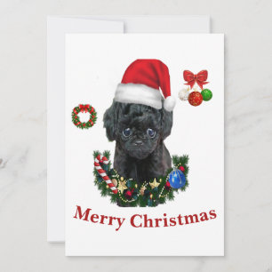 Pudel Weihnachten  Einladung