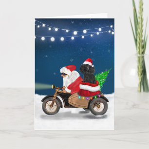 Pudel Weihnachten Karte