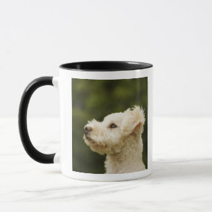 Pudel (weiße) 2 tasse