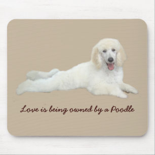 Pudel weißes schönes Mousepad