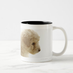 Pudel-Welpe Zweifarbige Tasse