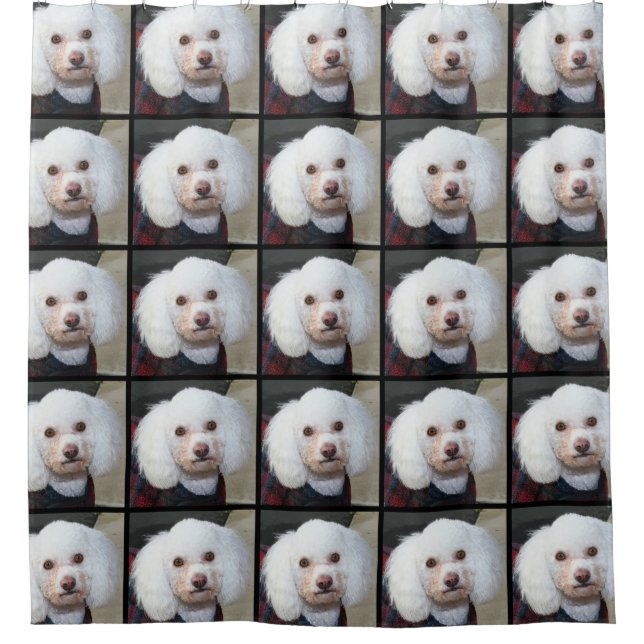 Pudelhundduschvorhang Duschvorhang (Vorderseite)