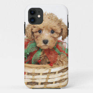 Pudelwelpe, der im Weihnachtskorb sitzt Case-Mate iPhone Hülle