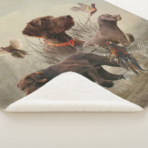 Pudelzeigen, Jagdfasan Sherpadecke