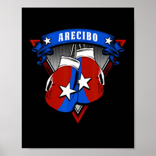 Puerto Rican Arecibo Poster
