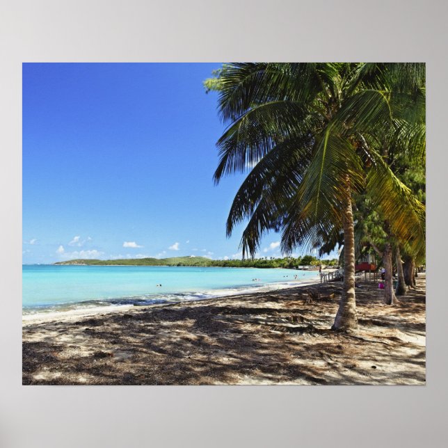 Puerto Rico, Fajardo, Culebra Island, Sieben Meere Poster (Vorne)