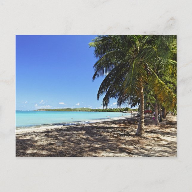 Puerto Rico, Fajardo, Culebra Island, Sieben Meere Postkarte (Vorderseite)
