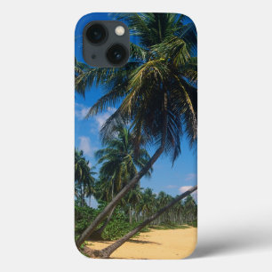Puerto Rico, Isla Verde, palm trees Case-Mate iPhone Hülle