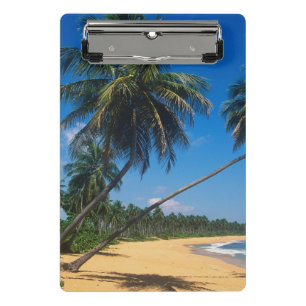 Puerto Rico, Isla Verde, Palmen Mini Klemmbrett