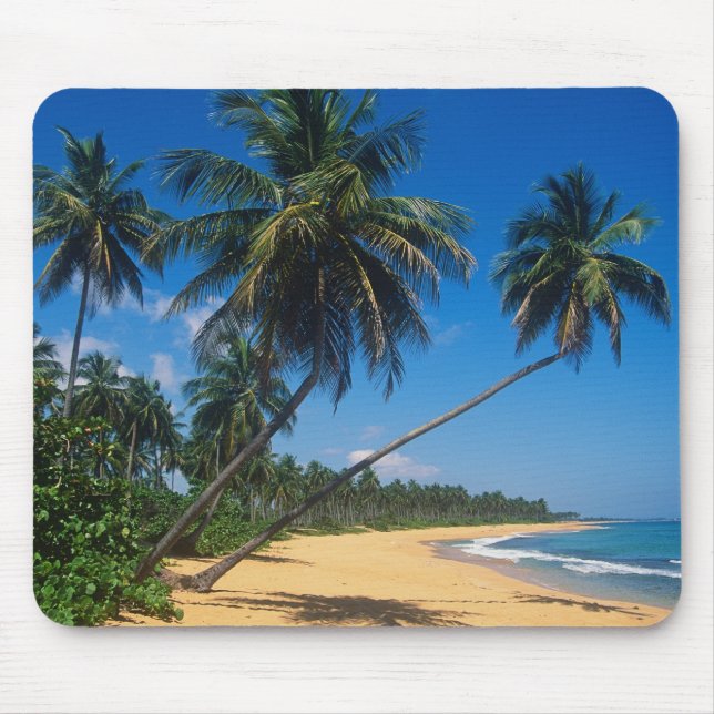 Puerto Rico, Isla Verde, Palmen. Mousepad (Vorne)