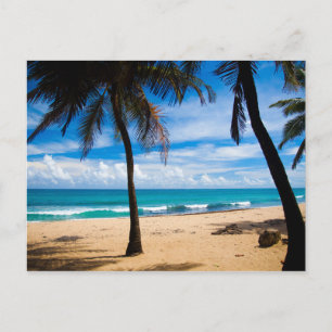 Puerto Rico - Strand von Condado Postkarte
