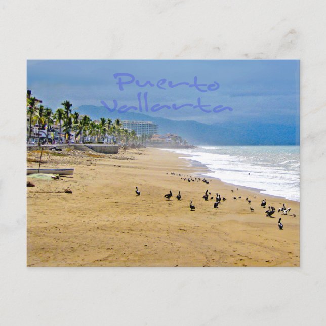 Puerto Vallarta 2 Postkarte (Vorderseite)