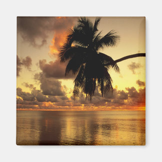 Puerto Vallarta Magnet