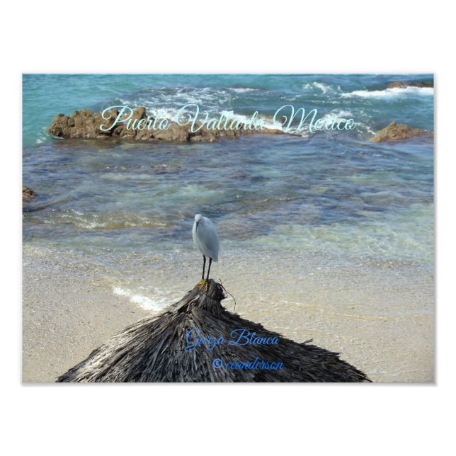 Puerto Vallarta Mexiko-Garza Blanca Fotodruck (Vorne)