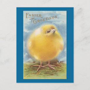 Puffball Chick Vintag Ostern Feiertagspostkarte