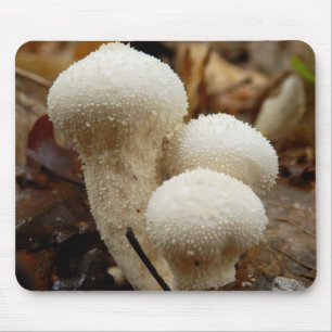 Puffball Muse Mousepad