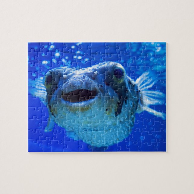 Puffer (Horizontal)