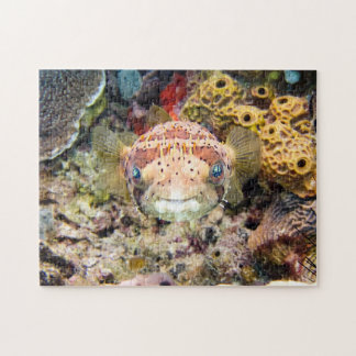 Puffer