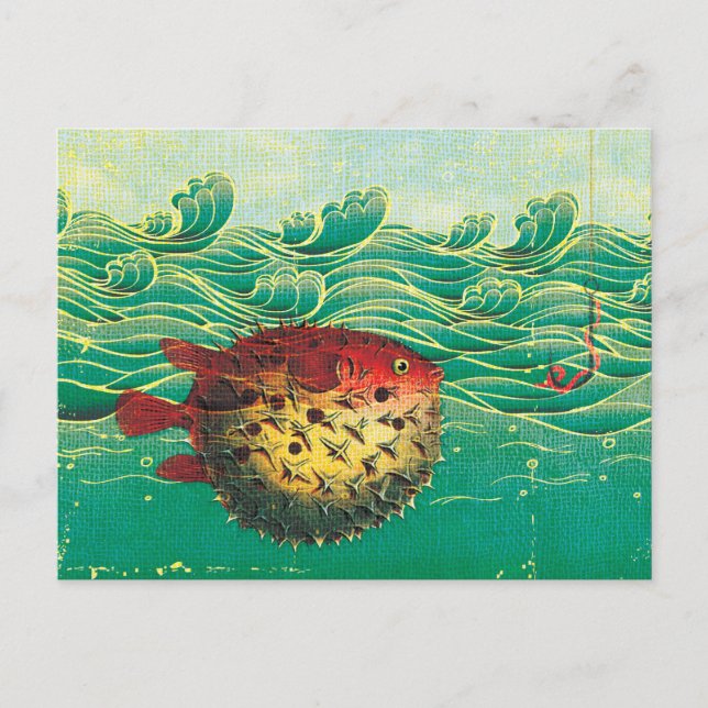 Puffer Fish Postkarte (Vorderseite)