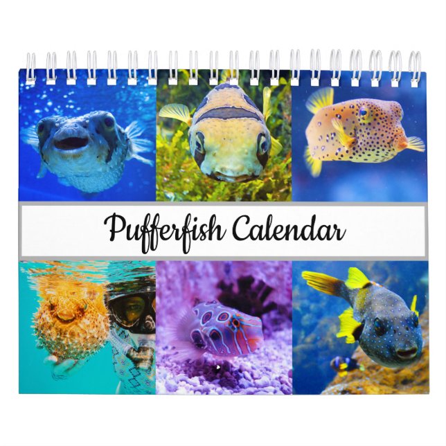 Puffer Kalender (Titelbild)