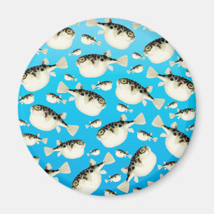 Pufferfischblau Magnet