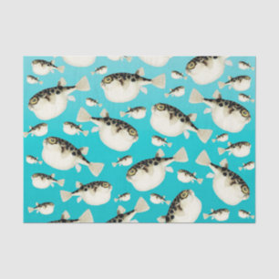 Pufffisch aquamarin seidenpapier