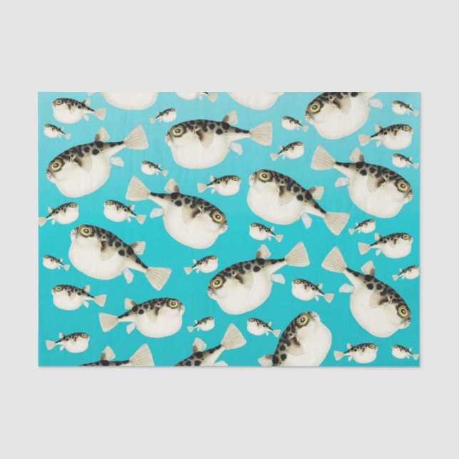 Pufffisch aquamarin seidenpapier (Vorderseite)